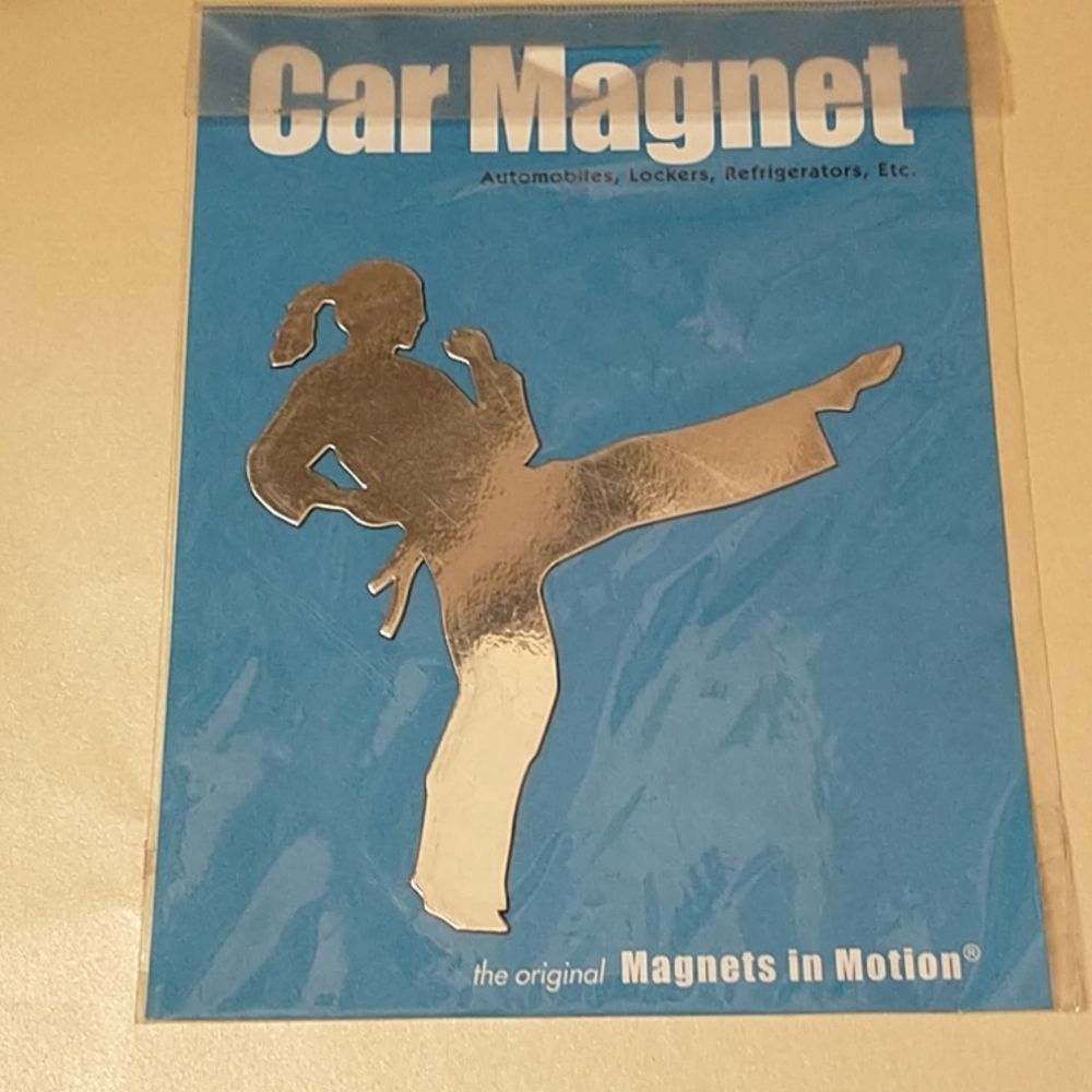 π3/$12 Karate Girl Car Magnet! - Picture 4 of 6